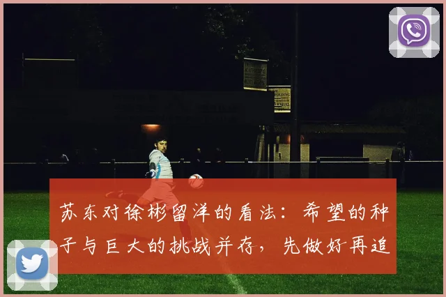 苏东对徐彬留洋的看法：希望的种子与巨大的挑战并存，先做好再追求完美